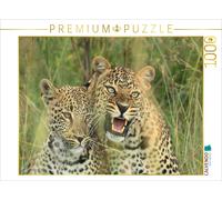 CALVENDO Puzzle Leopards - Watch out | 1000 pieces, finished size 25.2 × 18.9 i