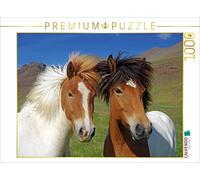 CALVENDO Puzzle Les Chevaux d'Islande 1000 Pieces 64 x 48 cm from Reinhard Pantke