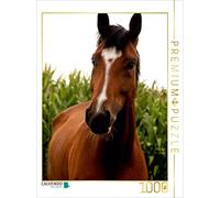 CALVENDO Puzzle Les Chevaux... Voler sans Ailes 1000 Pieces 48 x 64 cm from K. Grüttner
