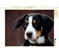 CALVENDO Puzzle Les Chiens de Montagne de l'Entlebucher Vous accompagnent Toute l'année 1000 Pieces 64 x 48 cm from SchnelleWelten