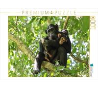 CALVENDO Puzzle Les chimpanzés dans la Jungle d'acajou 1000 Pieces 64 x 48 cm from Roswitha Irmer