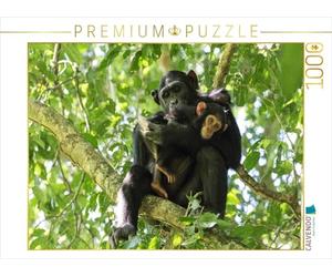 CALVENDO Puzzle Les chimpanzés dans la Jungle d'acajou 1000 Pieces 64 x 48 cm from Roswitha Irmer