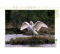 CALVENDO Puzzle Les cygnes chanteurs. Finlande 1000 Pieces 64 x 48 cm from Philippe Henry
