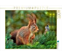CALVENDO Puzzle Les écureuils - Toujours Mignons 1000 Pieces 64 x 48 cm from Peter Roder