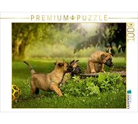 CALVENDO Puzzle Les Enfants Chiens découvrent Le Monde... 1000 Pieces 64 x 48 cm from Martina Wrede