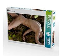 CALVENDO Puzzle Les garçons de la Nature Pure 1000 Pieces 48 x 64 cm from Ralf Wehrle