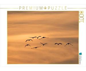 CALVENDO Puzzle Les grues en Route vers Le sud 1000 Pieces 64 x 48 cm from N. Wilhelm