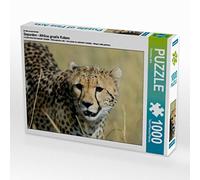 CALVENDO Puzzle Les guépards - Les Gracieux félins d'Afrique 1000 Pieces 64 x 48 cm from Thorsten Jürs