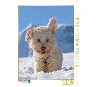 CALVENDO Puzzle Les Oreilles du Lagotto entendent Tout 1000 Pieces 48 x 64 cm from wuffclick-pic