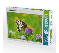 CALVENDO Puzzle Les Papillons en Europe 1000 Pieces 64 x 48 cm from GUGIGEI