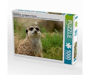 CALVENDO Puzzle Les suricates - Les lutins du règne Animal 1000 Pieces 64 x 48 cm from Arno Klatt