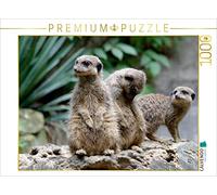 CALVENDO Puzzle Les suricates - Petites sentinelles 1000 Pieces 64 x 48 cm from Barbara Mielewczyk