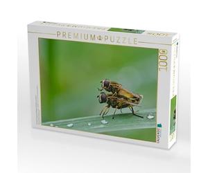 CALVENDO Puzzle Les syrphes des Marais ( Helophilus pendulus ) 1000 Pieces 64 x 48 cm from Michael Schöne