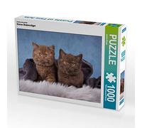 CALVENDO Puzzle Les Tigres de la Petite Maison 1000 Pieces 64 x 48 cm from Janina Bürger