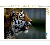 CALVENDO Puzzle Les Tigres - Les Chasseurs Silencieux de la Jungle 1000 Pieces 64 x 48 cm from Elke Krone