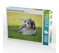 CALVENDO Puzzle L'essentiel est Que j'aie Quelque Chose à me Mettre sous la dent. 1000 Pieces 64 x 48 cm from MaBu