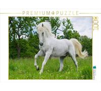 CALVENDO Puzzle L'étalon lipizzan Pluto Darina 1000 Pieces 64 x 48 cm from Sista-Tierfoto