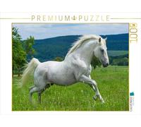 CALVENDO Puzzle L'étalon lipizzan Pluto Darina 1000 Pieces 64 x 48 cm from Sista-Tierfoto