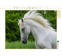 CALVENDO Puzzle L'étalon lipizzan Pluto Darina 1000 Pieces 64 x 48 cm from Sista-Tierfoto