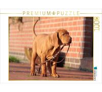 CALVENDO Puzzle Lass UNS Gassi gehen! 1000 Teile Puzzle quer 1000 Pieces 64 x 48 cm from Barbara Mielewczyk