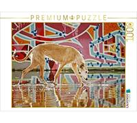 CALVENDO Puzzle Lévrier en Graffiti 1000 Pieces 64 x 48 cm from Kathrin Köntopp