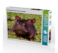 CALVENDO Puzzle L'hippopotame a mis Une Couronne. 1000 Pieces 64 x 48 cm from Ingo Gerlach