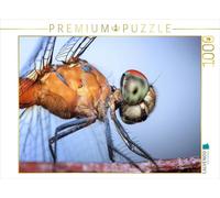 CALVENDO Puzzle Libellule 1000 Pieces 64 x 48 cm from Renate Bleicher