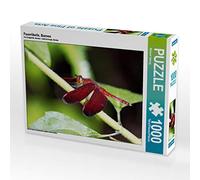 CALVENDO Puzzle Libellule de feu Bornéo 1000 pièces Taille de la Pose 64 x 48 cm Photo Puzzle Image de Michael Herzog