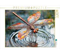 CALVENDO Puzzle Libellule en métal élégant: Œuvre d'art de Jardin Unique pour Les Amoureux de la Nature | 1000 pièces de Ponte Taille 64 x 48 cm Puzzle Photo pour des Heures heureuses
