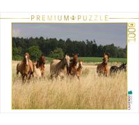CALVENDO Puzzle Life in a herd | 1000 pieces, finished size 25.2 × 18.9 in (64 ×