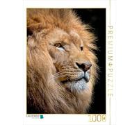 CALVENDO Puzzle Lion 1000 Pieces 48 x 64 cm from Peter Roder