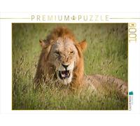 CALVENDO Puzzle Lion dans l'herbe 1000 Pieces 64 x 48 cm from Heinz-Peter Schwerin