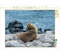 CALVENDO Puzzle Lion de mer 1000 Pieces 64 x 48 cm from Thomas Leonhardy