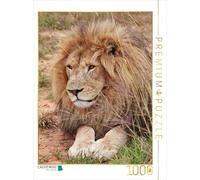 CALVENDO Puzzle Lion mâle 1000 Pieces 48 x 64 cm from Thula