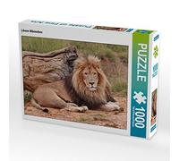 CALVENDO Puzzle Lion mâle 1000 Pieces 64 x 48 cm from Thula