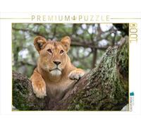 CALVENDO Puzzle Lion sur Le lac Ndutu, Tanzanie | 1000 pièces - Dimensions : 64 x 48 cm - Puzzle Photo pour des Heures de Bonheur