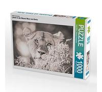 CALVENDO Puzzle Lions dans Le Maasai Mara au Kenya 1000 Pieces 64 x 48 cm from Anja Müller
