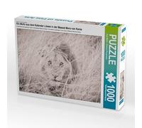 CALVENDO Puzzle Lions dans Le Maasai Mara au Kenya 1000 Pieces 64 x 48 cm from Anja Müller