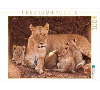 CALVENDO Puzzle Lions féroces 1000 Pieces 64 x 48 cm from Britta Berkenkamp