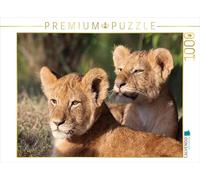 CALVENDO Puzzle Lions - pépinière 1000 Pieces 64 x 48 cm from Michael Herzog