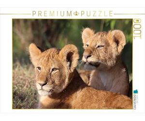 CALVENDO Puzzle Lions - pépinière 1000 Pieces 64 x 48 cm from Michael Herzog