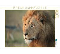 CALVENDO Puzzle Lions - Promenade matinale 1000 Pieces 64 x 48 cm from Michael Herzog