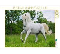CALVENDO Puzzle L'étalon lipizzan Pluto Darina 1000 Pieces 64 x 48 cm from Sista-Tierfoto