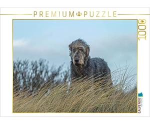 CALVENDO Puzzle L'Irish Wolfhound Regarde du Haut d'une Dune dans Un Paysage de landes 1000 Pieces 64 x 48 cm from Annett Mirsberger