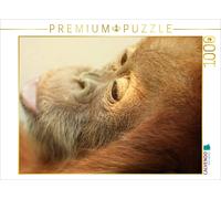 CALVENDO Puzzle Little Dreaming Monkey | 1000 pieces, finished size 25.2 × 18.9