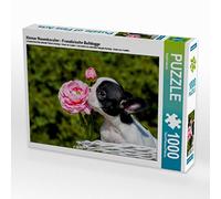 CALVENDO Puzzle Little Rose Cavalier - Bouledogue français 1000 Pieces 64 x 48 cm from Sista-Tierfoto