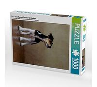 CALVENDO Puzzle LIU Jack Russel Terrier 10 semaines 1000 pièces Taille 48 x 64 cm Photo Puzzle Image de Jana Behr
