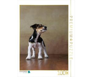CALVENDO Puzzle LIU Jack Russel Terrier 10 semaines 1000 pièces Taille 48 x 64 cm Photo Puzzle Image de Jana Behr