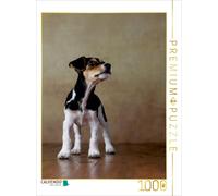 CALVENDO Puzzle Liu - Jack Russel-Terrier, 10 Wochen 1000 Teile Puzzle hoch | 10