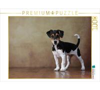 CALVENDO Puzzle Liu - Jack Russell Terrier, 10 weeks old | 1000 pieces, finished